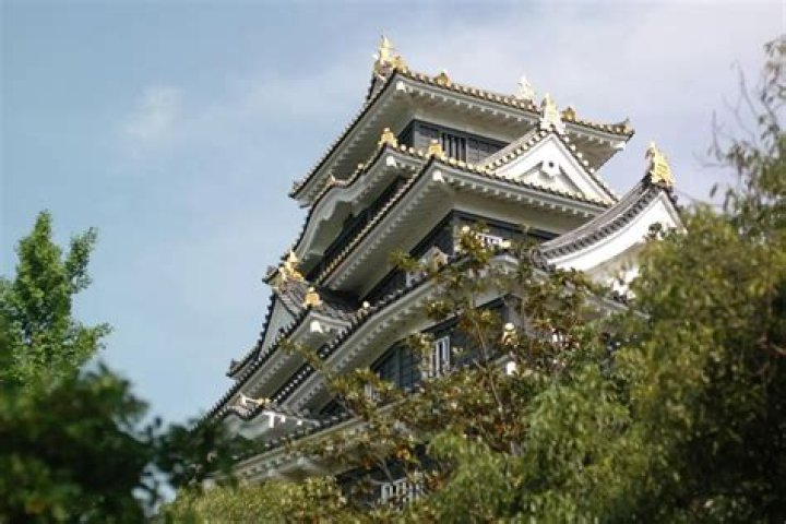 岡山のホスト掲示板を徹底解説｜利用方法と注意点まとめ